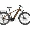 VAE Lapierre E-Explorer 6.5 Marron 500Wh – 2022 2 VAE Lapierre E-Explorer 6.5 Marron 500Wh – 2022 -Vélos Electriques Soldes Boutique vae lapierre e explorer 65 marron 500wh 2022